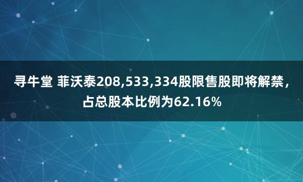 寻牛堂 菲沃泰208,533,334股限售股即将解禁，占总股本比例为62.16%