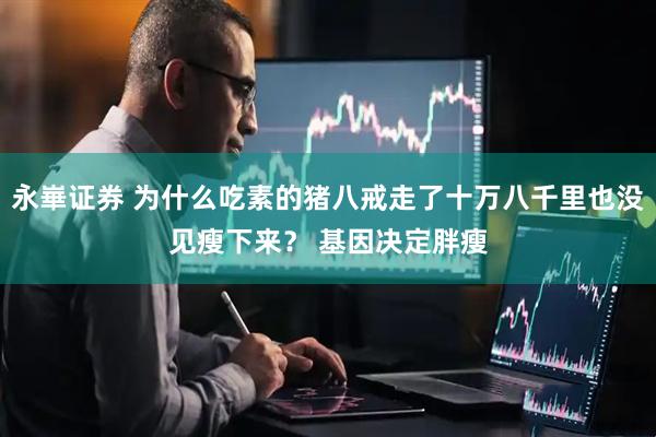 永崋证券 为什么吃素的猪八戒走了十万八千里也没见瘦下来？ 基因决定胖瘦